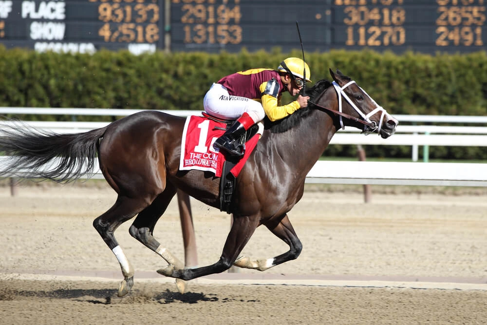 Names For Horses Race Nights