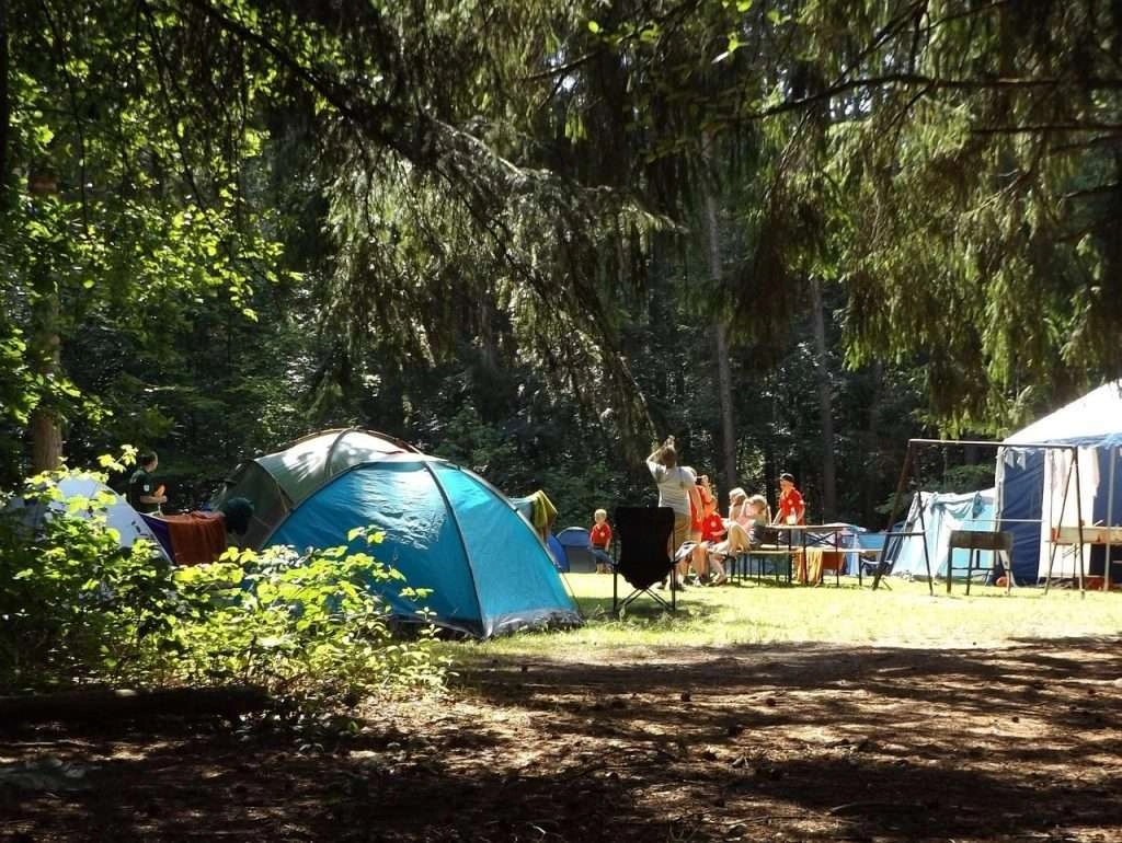 Camp Team Names