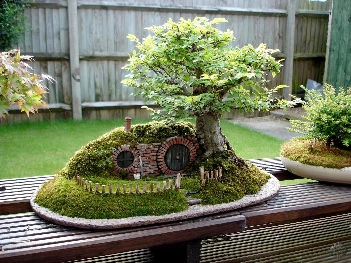 Funny Names for Bonsai Trees