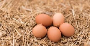 Funny Names for Chicken Eggs