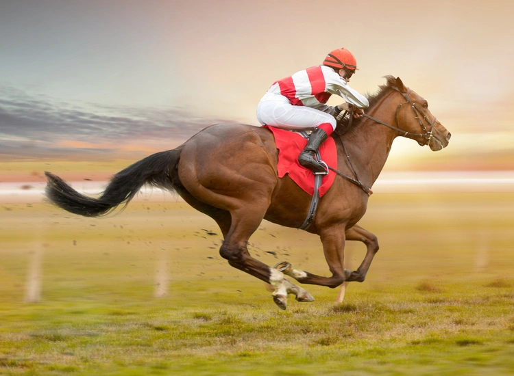 Names For Horses Race Nights