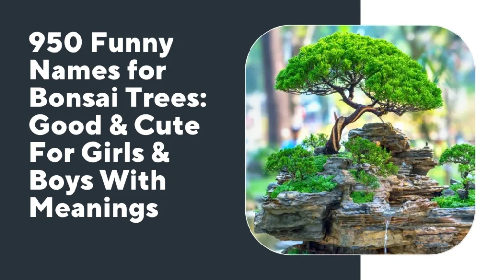 Funny Names for Bonsai Trees