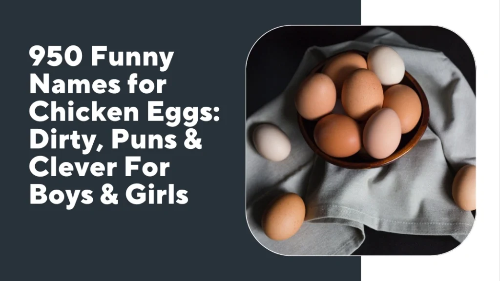 Funny Names for Chicken Eggs
