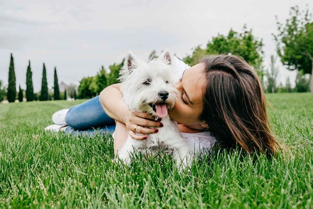 Pet Lovers Team Names