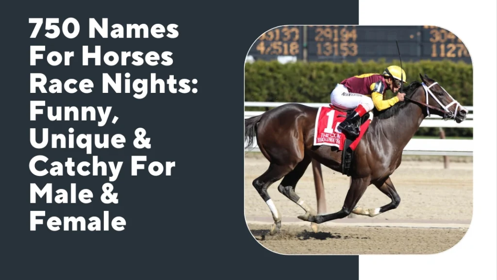 Names For Horses Race Nights