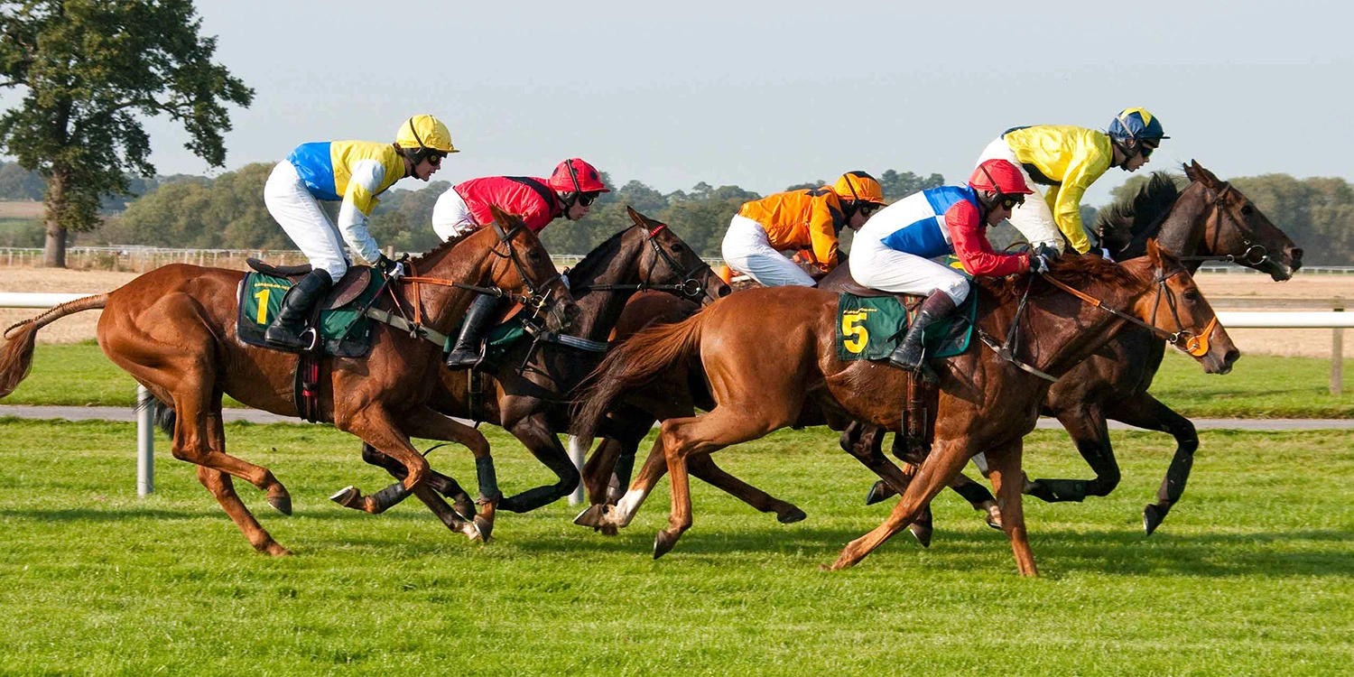 Names For Horses Race Nights