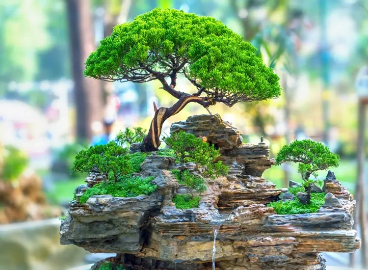 Funny Names for Bonsai Trees