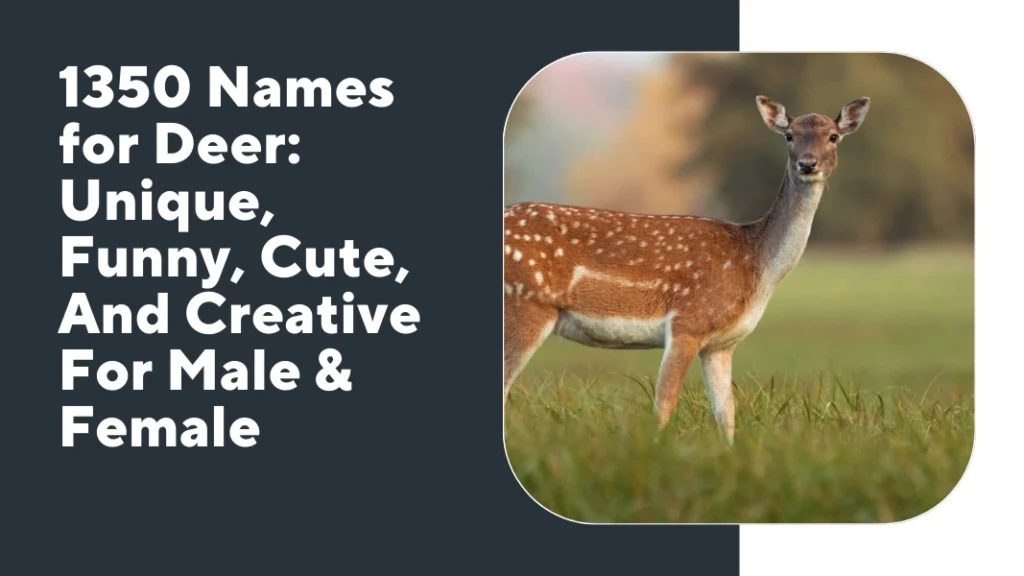 Names for Deer