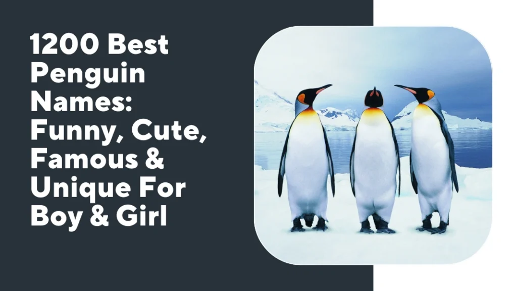 Penguin Names