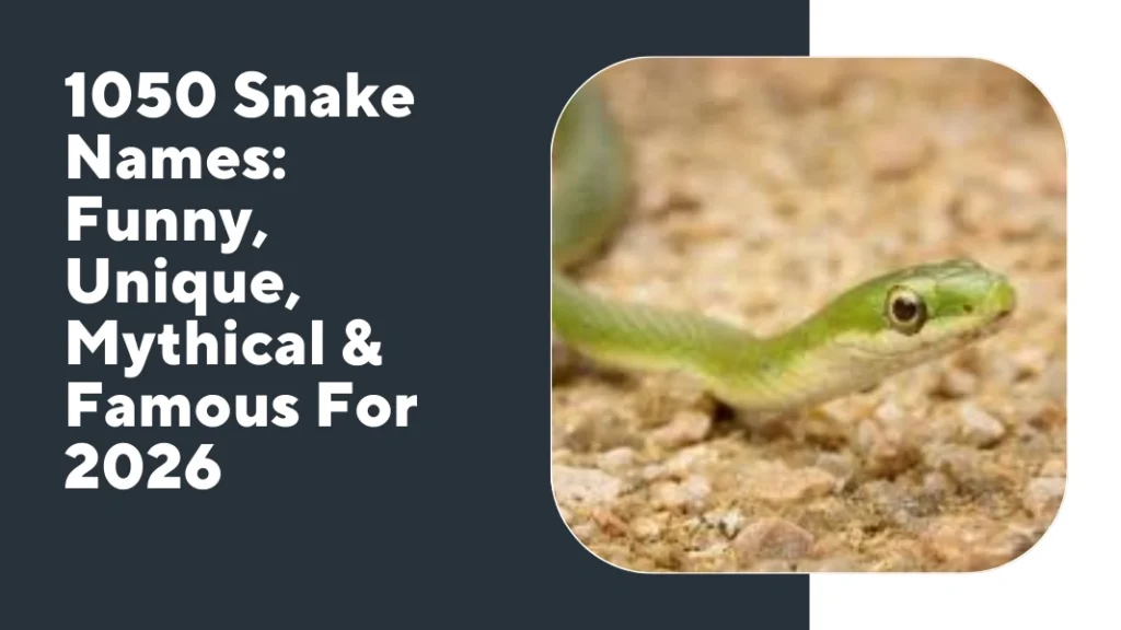Snake Names