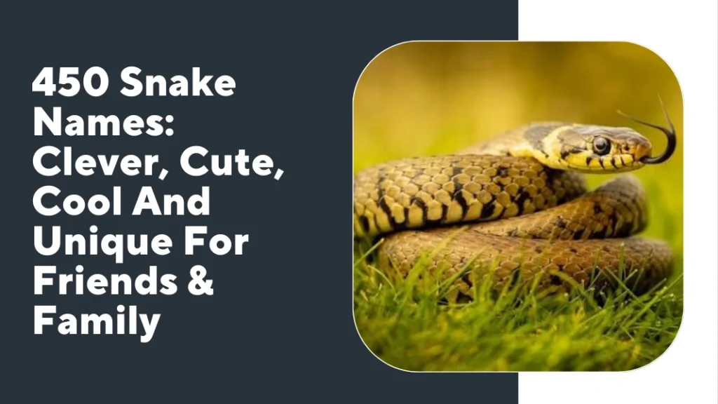 Snake Names