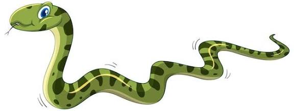 Snake Names